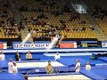 Europeu sincro Amadeu N/ Samuel C.