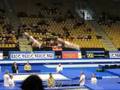 Europeu sincro Amadeu N/ Samuel C.