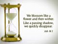 Time waits for no man