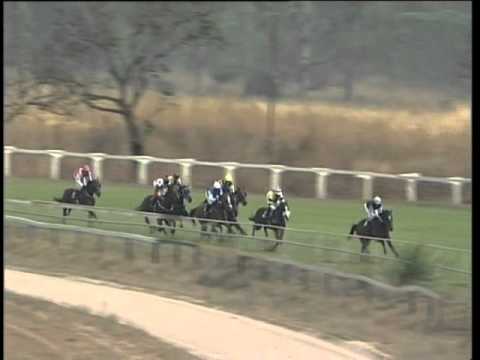 paddy power cheltenham