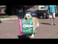 Eukanuba Fetch