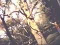 Guardian - See You In Heaven Legendado