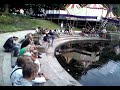 noorderzon-performing-arts-festival-groningen-2007.html