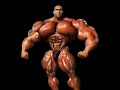 Nasser El Sonbaty Muscle Morph