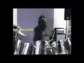 king kong dj king kong dj
