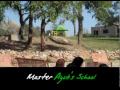 Watch 'Master ayub Heroes of Pakistan by Tirmizi'