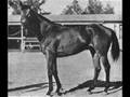 Phar Lap and Seabiscuit
