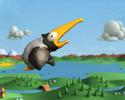 Bird Watching