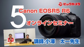 �T���v������