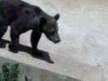 Ours
