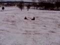 Ryan's Birthday Sledding Adventure 4