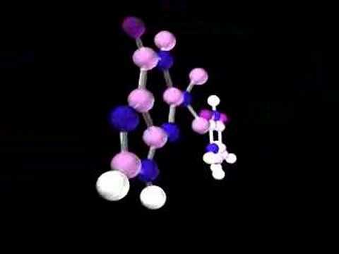 Thymine & Guanine
