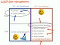 LOSP Business Risk Management.wmv