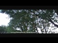 Brandweer vierlingsbeek haalt tak weg in maashees 27-05-2011