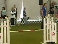 Nationals Dog Agility - Boxer Max Rock