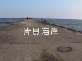 九十九里浜