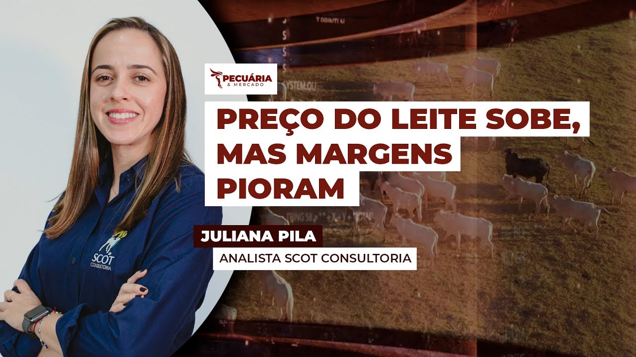 Apesar da segunda alta seguida no leite pago ao produtor, as margens da atividade estão piores ...
