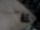 Carrinho pmr (1)