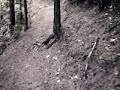 Applegate Lake (2b/11)