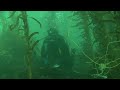 Reef Check California Surveying Methods
