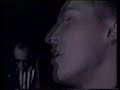 The Beloved - This Means War