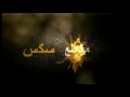 رقص مصرية بقميص النوم الشفاف