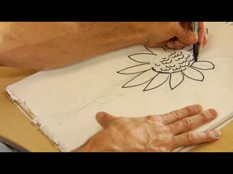 Drawing From Nature : How to Draw Sunflowers