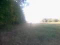 videos de pitbike stoppie gone wrong