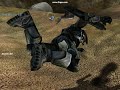 Some old Halo videos