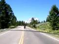 Goldwing cam