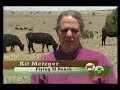 Prosser and Metzger families, Diablo Trust Ranches
