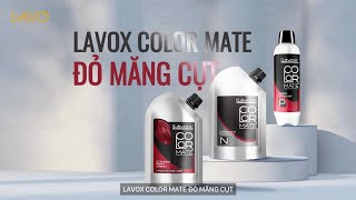 Kỹ Thuật Uốn Duỗi Nhuộm Với 1 Sản Phẩm Duy Nhất – Uốn Duỗi Màu Lavox Kỹ Thuật Uốn Duỗi Nhuộm Với 1 Sản Phẩm Duy Nhất – Uốn Duỗi Màu Lavox