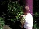 Gardening