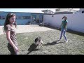 Marge - Due to be Killed this week
