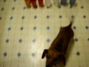 burnsie videos 003.mov burnsie videos 003.mov