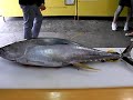 Okinawa Fresh Sashimi Pt2