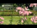 Andernach residents create a community garden | People & Politics View Video