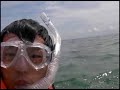 Thumbnail #1