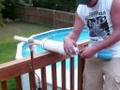 Potato Gun
