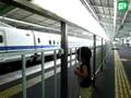 Qtaro at Shinkobe St. looking at 700series Shinkansen