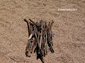 How To Build a Campfire