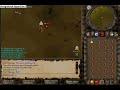 B L U Orchid Vs. Pur3 Sponge DM