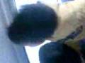 Warro 68 Atila cantando