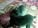 Minnie in VT