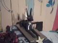 videos de Sekhmet's Mountain Sanctuary