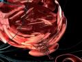 Spongelab Interactive Demo Reel - November 2009