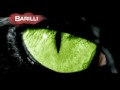 Tutto il nero del ducato booktrailer