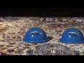 Yamuna Foot Wakers and Foot Savers