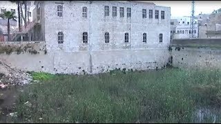  | موسوعة التراث الفلسطيني