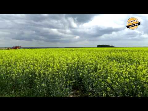 Pasieka Pszczeli Azyl – 8. Pozyskiwanie miodów odmianowych